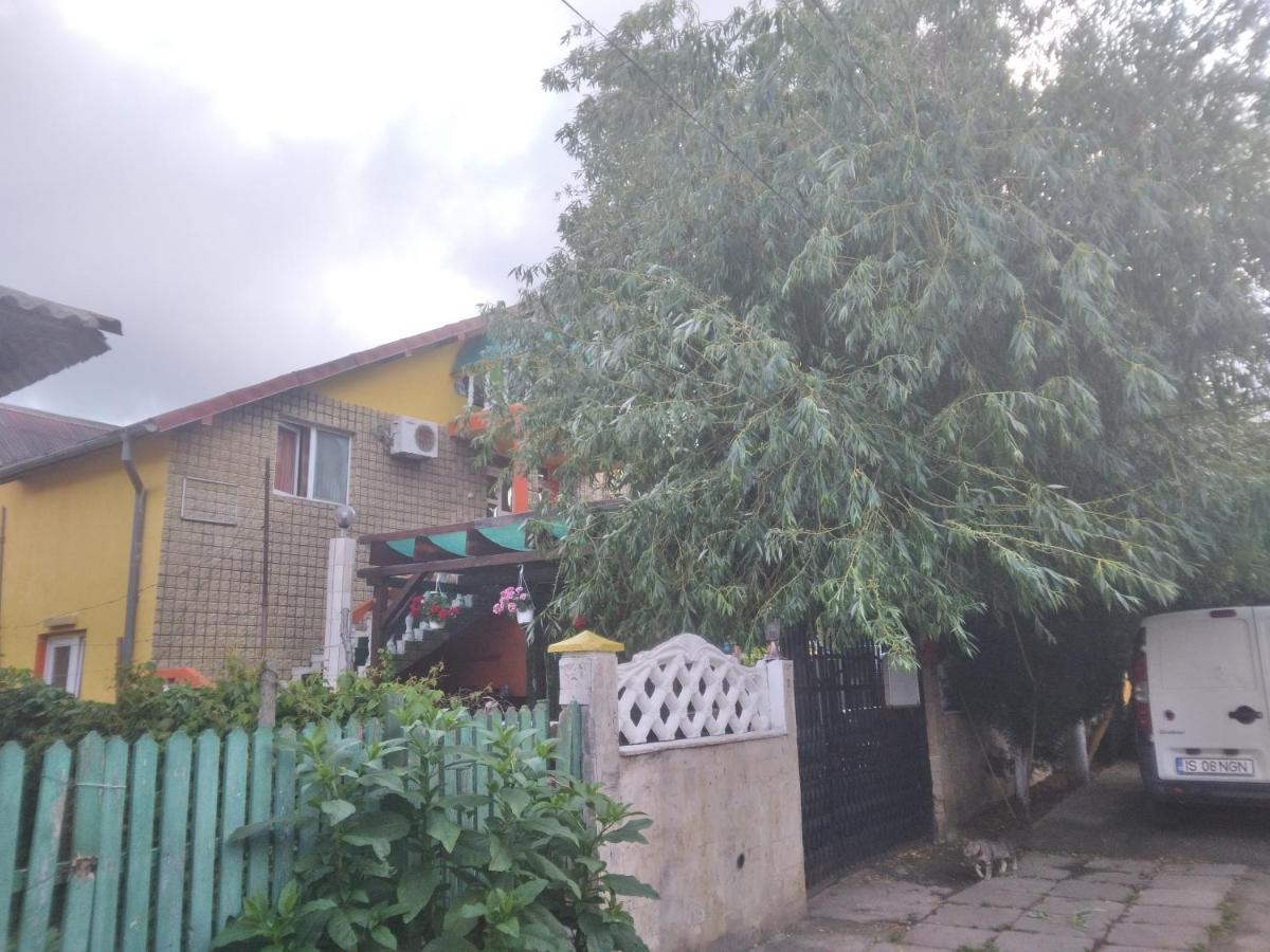 Pensiunea Florentina Costinești Exterior foto